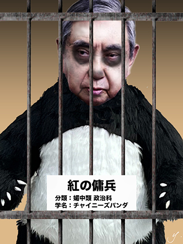 kono yohei panda.jpg